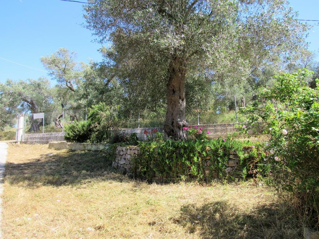 Villa Clementine Gaios Esterno foto