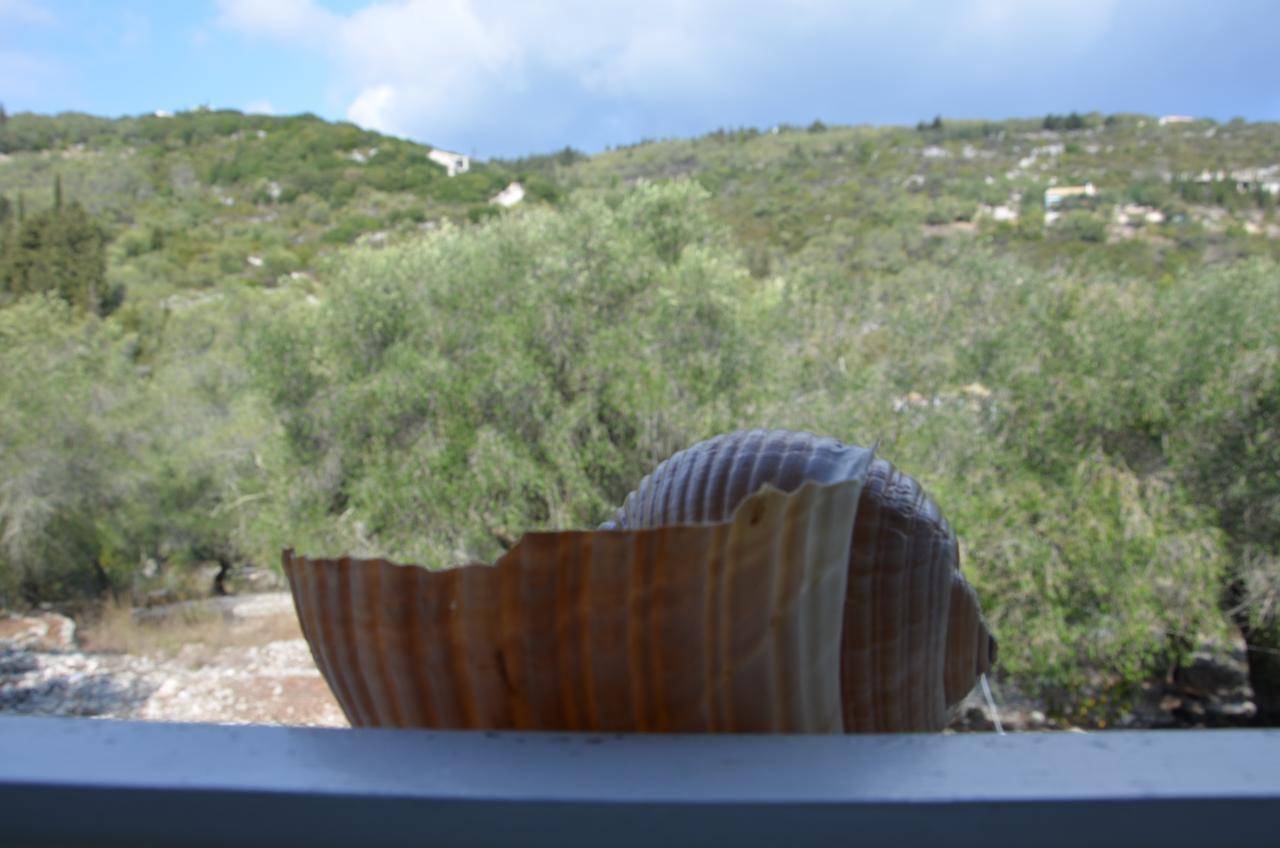 Villa Clementine Gaios Esterno foto